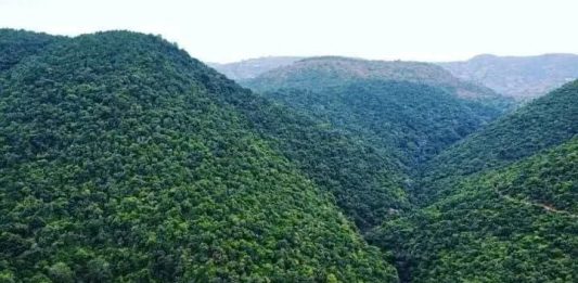 አረንጓዴው ሀብታችን – ከተራቆተ መሬት እስከ ቢሊዮን ዶላር ገቢ!