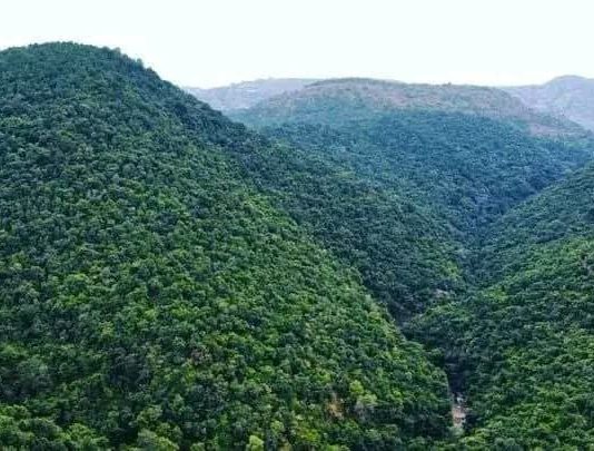 አረንጓዴው ሀብታችን – ከተራቆተ መሬት እስከ ቢሊዮን ዶላር ገቢ!