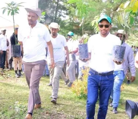“ኢትዮጵያ የአየር ንብረት መዛባትን ለመከላከል በትኩረት እየሠራች ነው” ርዕሰ መስተዳድር ጥላሁን ከበደ