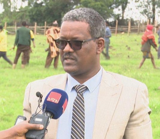 የፌዴራል ማረሚያ ቤቶች ኮሚሽን በምሥራቅ ጎጃም ዞን የችግኝ ተከላ እና ለአቅመ ደካሞች የመኖሪያ ቤት ግንባታን አስጀመረ።