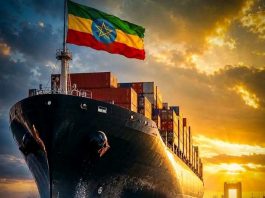 የባሕር በር ጉዳይ ቅንጦት ወይስ ሕልውና?