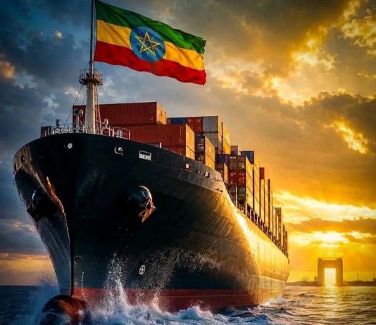 የባሕር በር ጉዳይ ቅንጦት ወይስ ሕልውና?