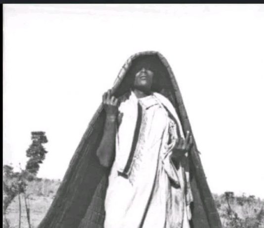“ከተፈጥሮ የተገኘው የጥበብ ካባ” “ዝናቡ ላይዘንብ እያጉረመረመ፣