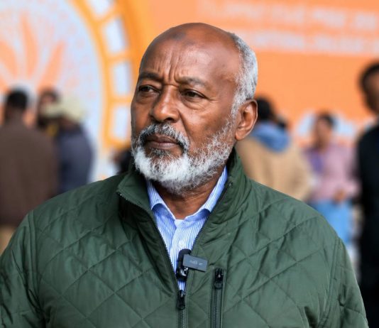 ”ለኢትዮጵያ ከምክክር ውጭ ሌላ መድኃኒት የለም” ፕሮፌሰር አሕመድ ዘካርያ