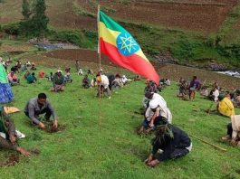 ቢሊዮን ሥሮች፣ አንድ እስትንፋስ – የኢትዮጵያ የአረንጓዴ አሻራ እና የምድር ፈውስ