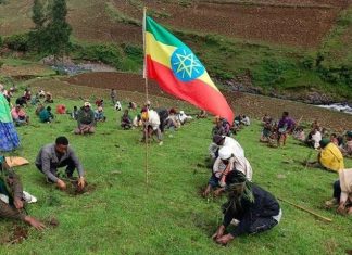 ቢሊዮን ሥሮች፣ አንድ እስትንፋስ – የኢትዮጵያ የአረንጓዴ አሻራ እና የምድር ፈውስ