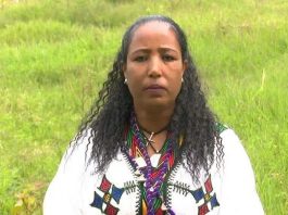 የእንግጫ ነቀላ እና ከስይ አጨዳ ባሕላዊ እሴቶችን ጠብቆ ለትውልድ ለማስተላለፍ እየተሠራ ነው።