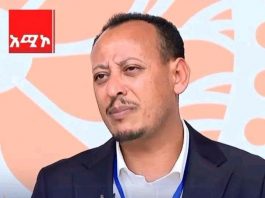 “የጫካው መንገድ አያዋጣም እንጅ እኛም ነበርንበት” የቀድሞ ታጣቂዎች