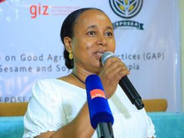የ “ነጭ ወርቅ” ሰብሎች ከ780 ሚሊዮን ዶላር በላይ የውጭ ምንዛሬ አስገኝተዋል።