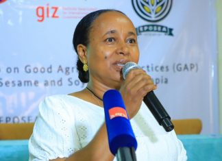 የ “ነጭ ወርቅ” ሰብሎች ከ780 ሚሊዮን ዶላር በላይ የውጭ ምንዛሬ አስገኝተዋል።