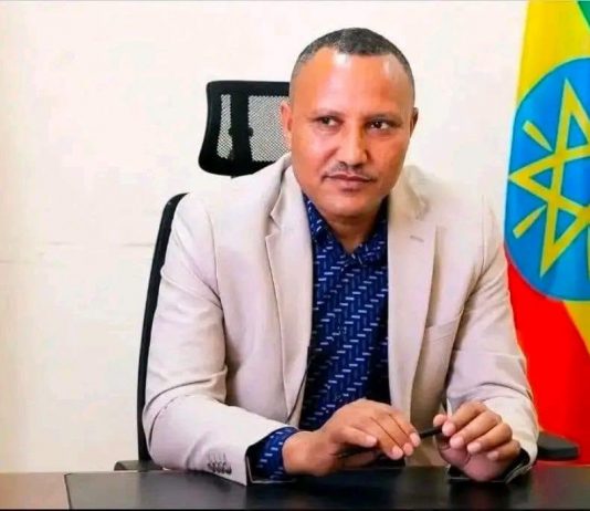 ለሰላማዊ አማራጭ እና ለዘላቂ ልማት ቅድሚያ ተሰጥቷል።
