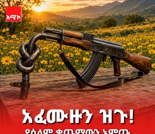 አፈሙዙን ዝጉ እና የሰላም ቄጤማን ለአዲስ ዓመት አምጡልን – የእናቶች ተማጽኖ