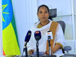 የአማራ ክልል የመንግሥት ሠራተኞችን መረጃ የመሠብሠብ እና ዲጂታላይዝድ የማድረግ ሥራው 80 በመቶ ደርሷል።
