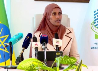 የውጭ ዜጎች በኢትዮጵያ የመኖሪያ ቤት ባለቤት የሚኾኑበት አሠራር ተግባራዊ እንደሚኾን የከተማ እና መሠረተ ልማት ሚኒስቴር አስታወቀ።