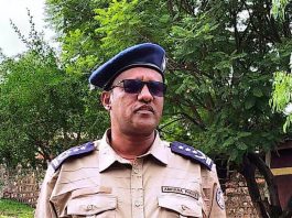 የሻደይ በዓል በሰላም እንዲከበር የጸጥታ መዋቅሩ ዝግጅቱን አጠናቋል።