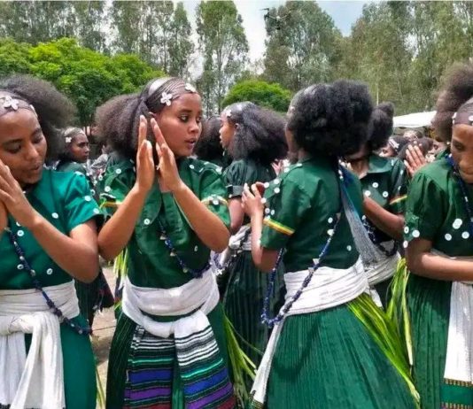 ለሻደይ ከመሰባሰብ እስከ ልማት ማህበር ምስረታ – የዋጎች ዋልማ