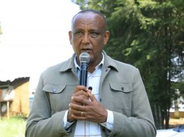 አልማ በትምህርት ቤቶች ልማት ላይ ውጤታማ ሥራ እየሠራ ነው።