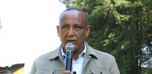 አልማ በትምህርት ቤቶች ልማት ላይ ውጤታማ ሥራ እየሠራ ነው።