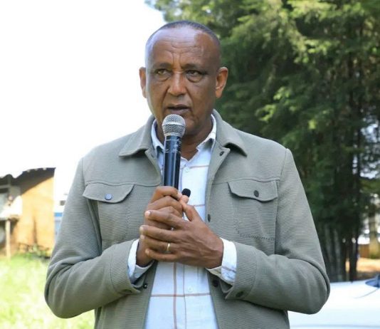 አልማ በትምህርት ቤቶች ልማት ላይ ውጤታማ ሥራ እየሠራ ነው።