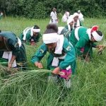 መተጫጫ እና የከንፈር ወዳጅ መገናኘው እንግጫ ነቀላ 779944835_2108731953328110_947106204129503834_n