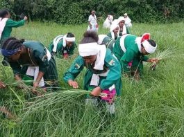 መተጫጫ እና የከንፈር ወዳጅ መገናኘው እንግጫ ነቀላ