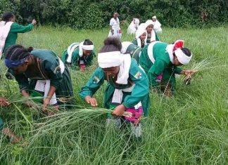 መተጫጫ እና የከንፈር ወዳጅ መገናኘው እንግጫ ነቀላ