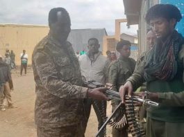 በበየዳ ወረዳ በጫካ ሲንቀሳቀሱ የነበሩ ታጣቂዎች የሰላም አማራጭን ተቀበሉ።
