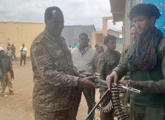 በበየዳ ወረዳ በጫካ ሲንቀሳቀሱ የነበሩ ታጣቂዎች የሰላም አማራጭን ተቀበሉ።