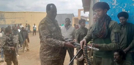 በበየዳ ወረዳ በጫካ ሲንቀሳቀሱ የነበሩ ታጣቂዎች የሰላም አማራጭን ተቀበሉ።