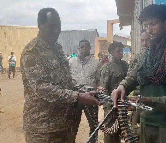 በበየዳ ወረዳ በጫካ ሲንቀሳቀሱ የነበሩ ታጣቂዎች የሰላም አማራጭን ተቀበሉ።