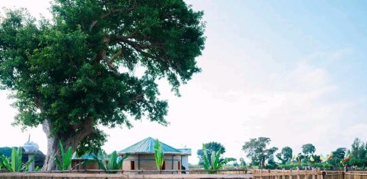 የገጠር ኮሪደር ልማት ውጥን ተግባራዊ እና ሰውን ማዕከል ያደረገ አካሄድን በመከተል ላይ ይገኛል።