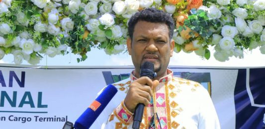 በ275 ሚሊዮን ብር ወጭ ለደብረብርሃን ከተማ የኢንዱስትሪ ማዕከልነት ከፍታ!