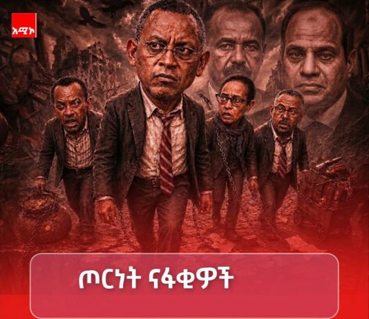 የጊንጥ ፖለቲካ – ያሻገሩትን የመንደፍ ፍጻሜ።