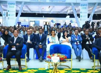 በአምስት ዓመታት ውስጥ 19 ሚሊዮን የሀገር ውስጥ የሥራ ዕድል ተፈጥሯል።