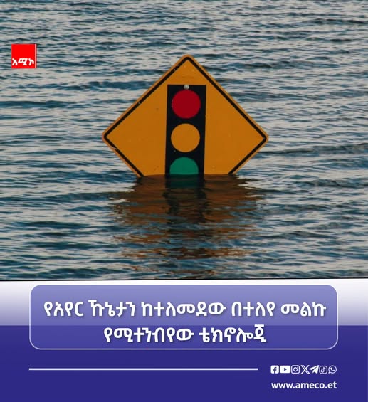 787798078_827608953709926_3587160359924101691_n