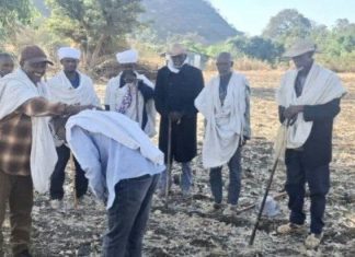 እውነት የማትሞትበት የዋርካው ጥላ።