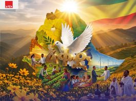 ሰላምን መቼ ነው የምናቅደው?