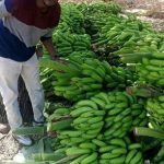 አፈር እና ውኃን ያስታረቀው የወጣት ጋሻው ተሞክሮ FB_IMG_1786524700996