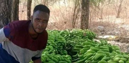 አፈር እና ውኃን ያስታረቀው የወጣት ጋሻው ተሞክሮ