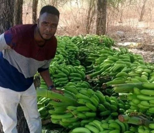 አፈር እና ውኃን ያስታረቀው የወጣት ጋሻው ተሞክሮ