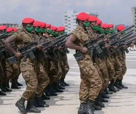 የሉዓላዊነታችን ህያው ጋሻ