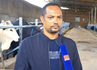 በእንስሳት እና ዓሣ ሃብት ልማት ለ173 ሺህ ዜጎች የሥራ ዕድል ተፈጥሯል።