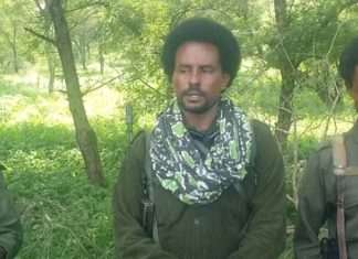 የአማራን ሕዝብ ወሰን እና ማንነት ጥያቄ አሳልፈው ላለመስጠት የሰላም አማራጭን መከተላቸውን የቀድሞ ታጣቂ መሪዎች ገለጹ።