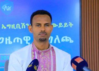 በአማራ ክልል ምን ያክል የዲጂታል መፍትሔዎች ለምተው ለአገልግሎት ዋሉ ?
