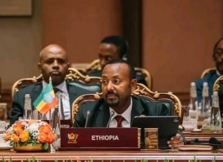 “የብሪክስ መድረክ የጋራ ትብብርን ወደ የጋራ እሴት፣ ጽናት እና ዘላቂ ዕድገት የመለወጥ ሰፊ አቅምና ቁርጠኝነት አለው” ጠቅላይ ሚኒስትር ዐቢይ አሕመድ ( ዶ.ር)