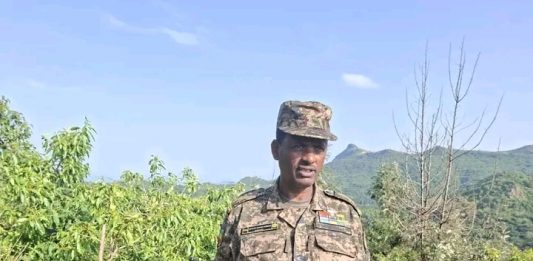 ”ለማን እንደምንታገል ሳናውቅ የምናደርገው ዓላማ የሌለው ትግል በመኾኑ ተጸጽተን መጥተናል” ወደ ሰላም የተመለሱ ታጣቂዎች