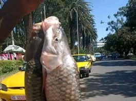 “ውኃ ውስጥ የተደበቀው እንቁ” በአማራ ክልል