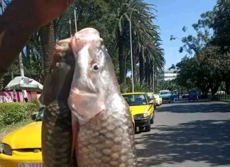 “ውኃ ውስጥ የተደበቀው እንቁ” በአማራ ክልል