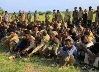 ወደ 300 የሚጠጉ የህገወጡ ህወሃት ታጣቂዎች ለሰሜን ምዕራብ ዕዝ ሠራዊት እጃቸውን ሰጡ።