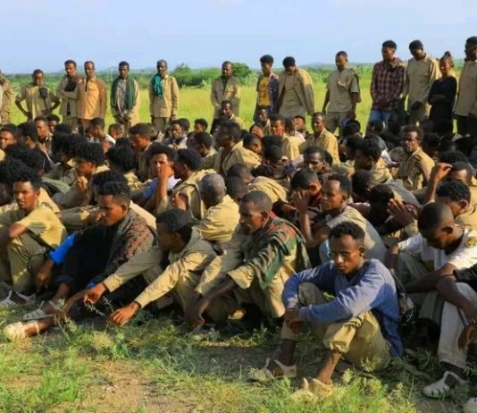 ወደ 300 የሚጠጉ የህገወጡ ህወሃት ታጣቂዎች ለሰሜን ምዕራብ ዕዝ ሠራዊት እጃቸውን ሰጡ።